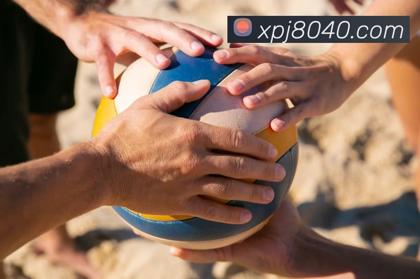 澳门新葡京网站入口全站App